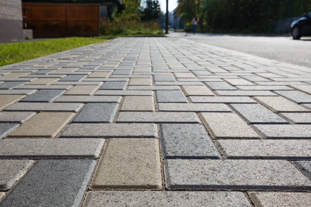 Best Professional Driveway Pavers  in Avenal, CA