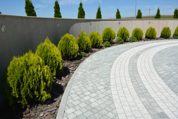 Best Local Driveway Pavers  in Avenal, CA